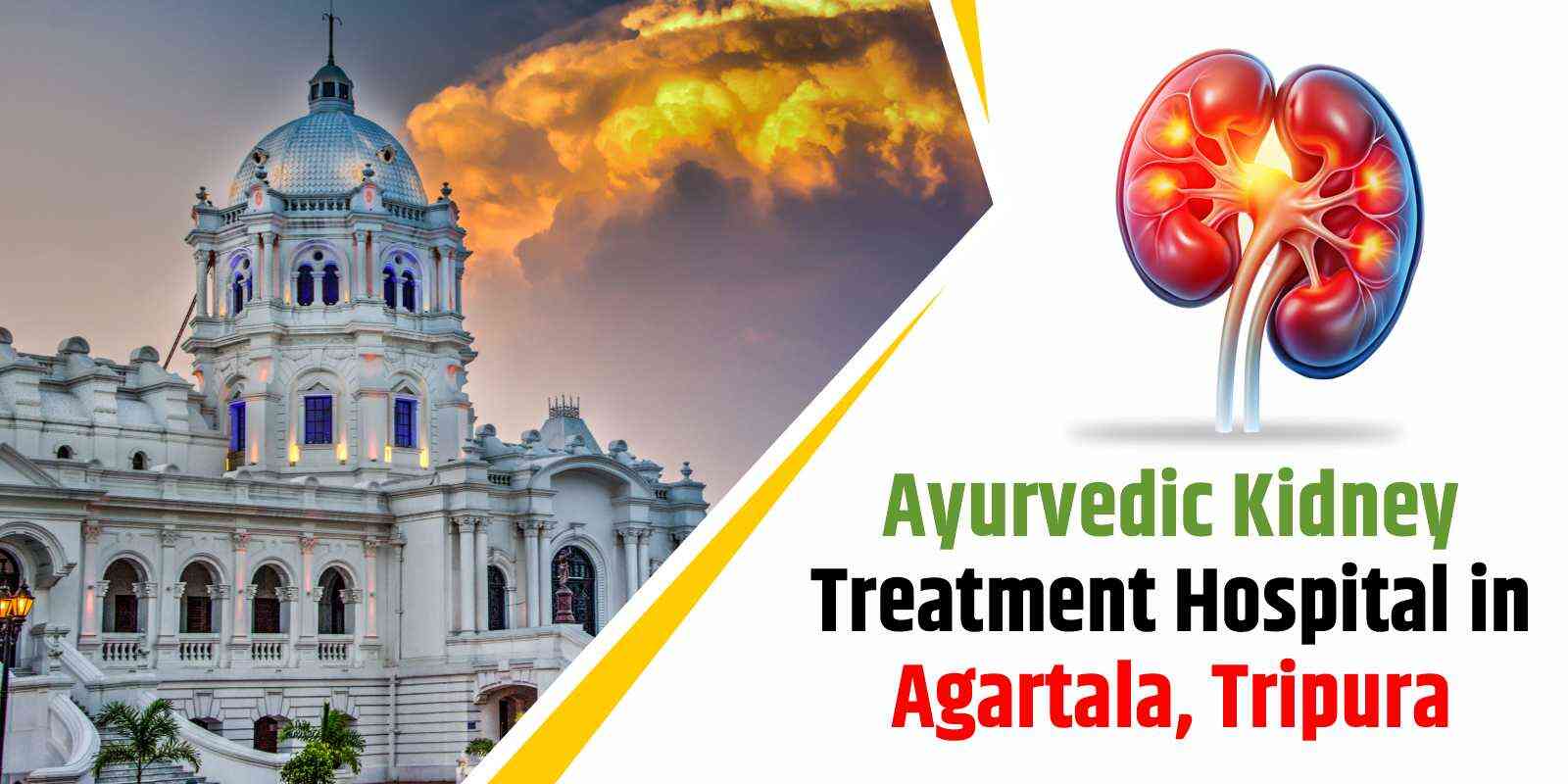 Ayurvedic Kidney Treatment Hospital in Agartala, Tripura